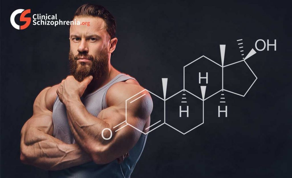 Methandienone cycle