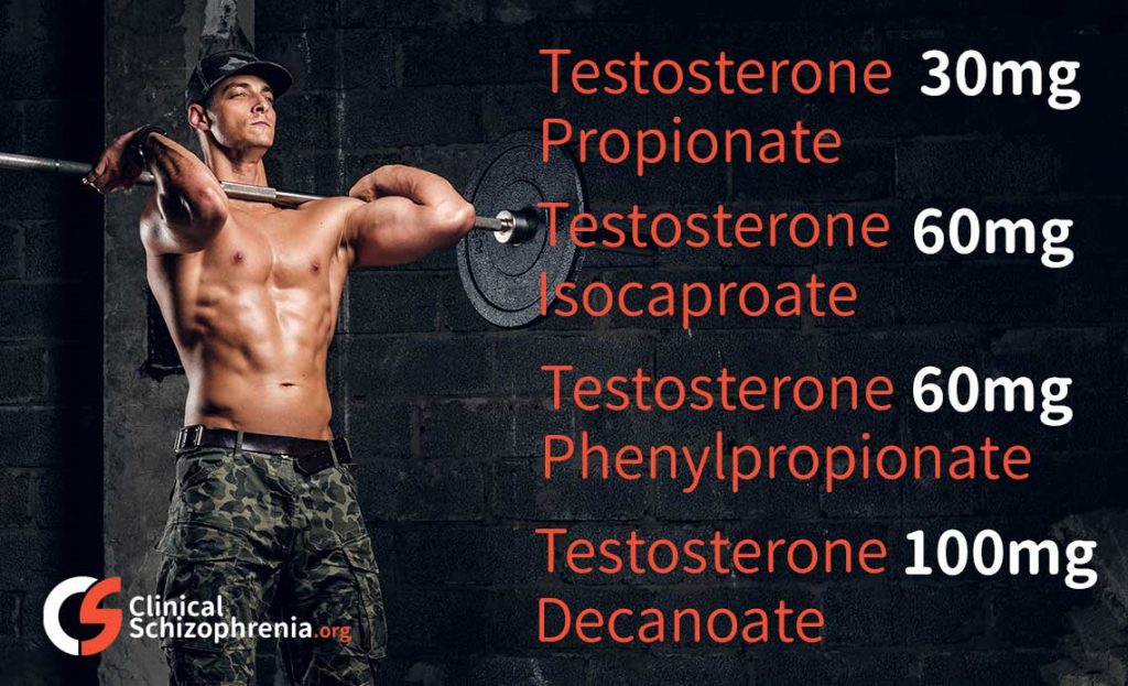 sustanon cycle for beginners